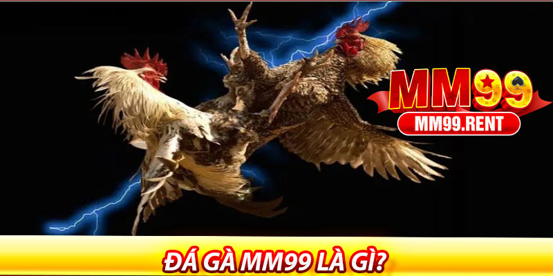 Đá gà MM99 là gì?