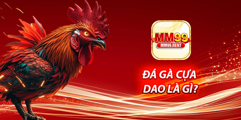 Đá Gà Cựa Dao Là Gì?
