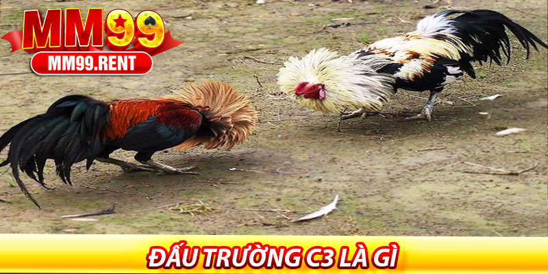 Đá Gà Tre Tại MM99 – Trải Nghiệm Đỉnh Cao 5 Đấu Trường C3 Là Gì