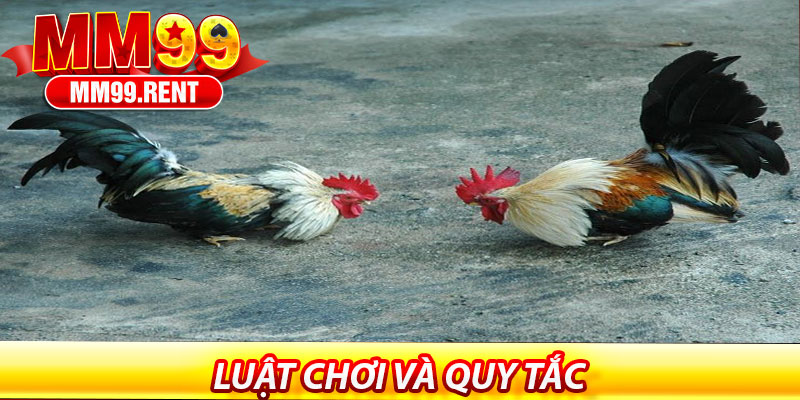 Đá Gà Tre Tại MM99 – Trải Nghiệm Đỉnh Cao 6 Luật Chơi Và Quy Tắc Trận Đấu Đá Gà Tre