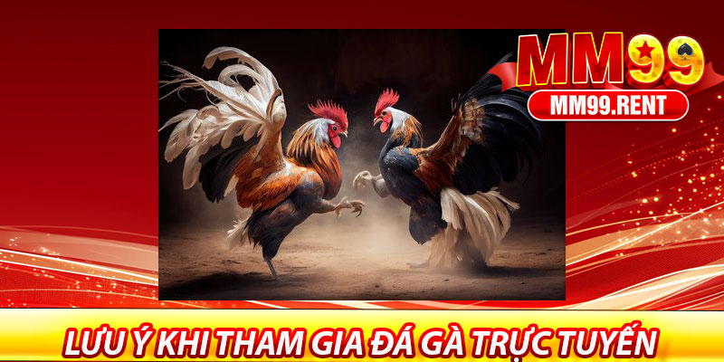 Đá Gà MM99 – Thế Giới Giải Trí Đỉnh Cao 7 Lưu ý khi tham gia đá gà trực tuyến