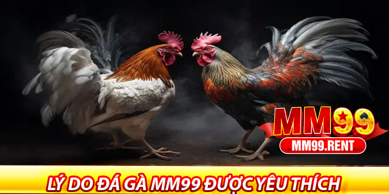 Đá Gà MM99 – Thế Giới Giải Trí Đỉnh Cao 6 Lý do đá gà MM99 được yêu thích